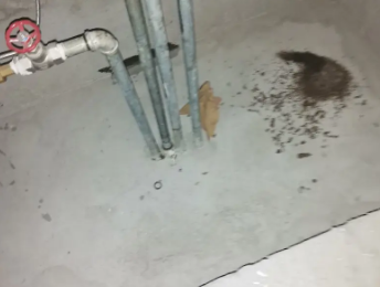 琼山卫生间测漏水价格明细